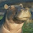 Skeptical Hippo