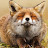 Grumppy Fox