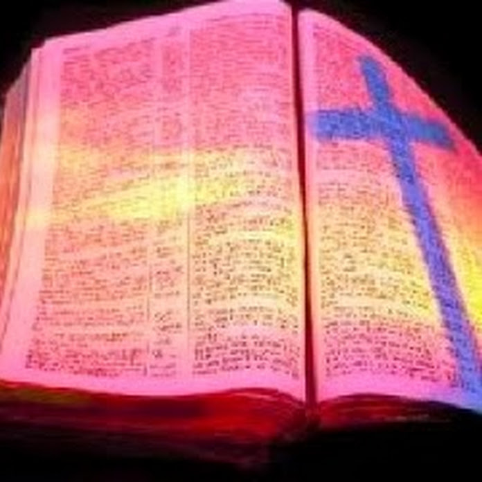 zion4131 Net Worth & Earnings (2026)