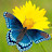 @Butterfly-pi9jj