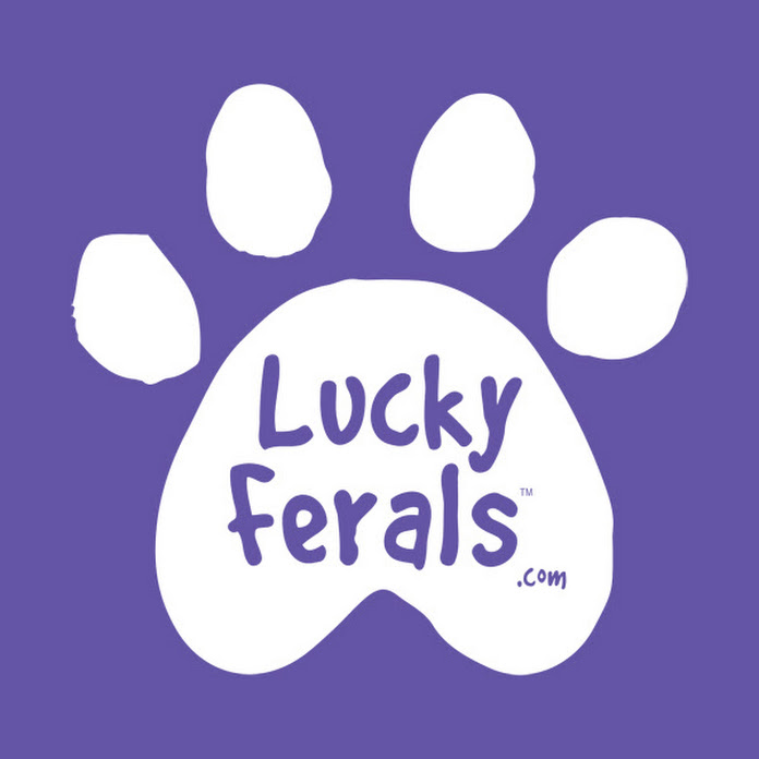 Lucky Ferals Net Worth & Earnings (2026)