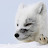 Snow Fox