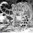 Snow Leopard
