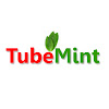 What could TubeMint buy with $100 thousand?