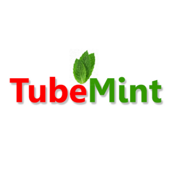 TubeMint Net Worth & Earnings (2024)