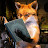 Red Fox