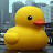 Yellow Duck