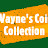 Waynes Coin Collection