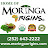 Moringa Origins