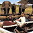 African voyage Safaris