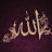 True Believer -ISLAM-