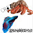 Crazyhermitcrab