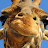 Talking Giraffe