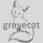 GREY E CAT
