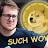 DogeCoin MoonCoin