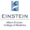 What could Albert Einstein College of Medicine buy with $100 thousand?