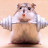 Hamsteroid