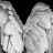 Angelic Won