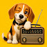 c83auFOfAZM-channel-avatar-Radio DAWGZ
