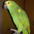 pgcDoIk3SHs-channel-avatar-sam_2991