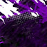 QvEm7LlPsFw-channel-avatar-Bioniv