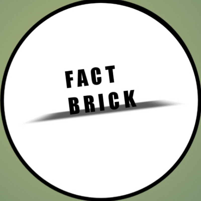 FACT BRICK
