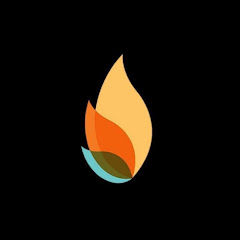 Centro Vida net worth