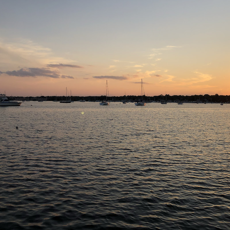 Everyday With Olivia