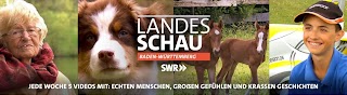 SWR Landesschau Baden-Württemberg