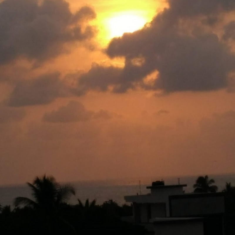 Simply Suveda