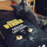 M0gOVrom1Jg-channel-avatar-Souris_grignoteuse_de_livres