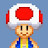 Toad the Nintendo Character