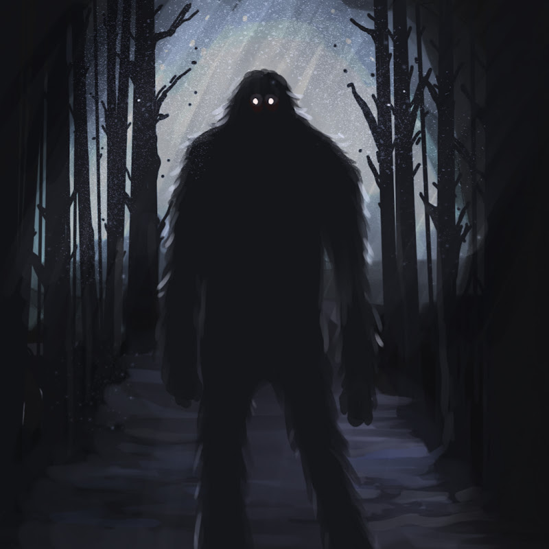 SASQUATCH THEORY