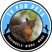 TV for pets