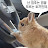 @오애옭