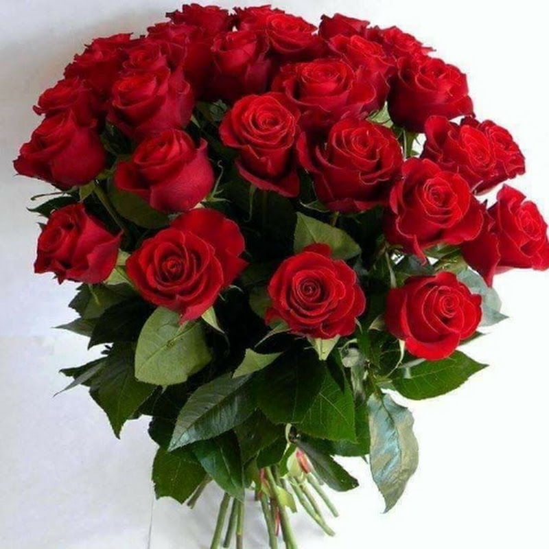 Afreen chowdhuri roshni