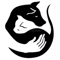 Логотип каналу yvener Brendon sanon