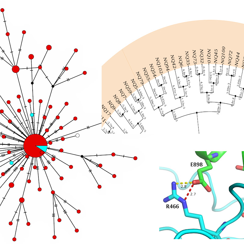 Bioinformatics Insights