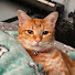 x98Jdej_OD0-channel-avatar-_Noted