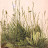 @draganj4740's avatar