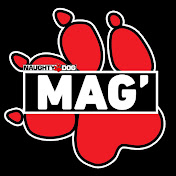 Naughty Dog Mag'