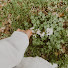 v_LV1jRTpBY-channel-avatar-Maplejoy