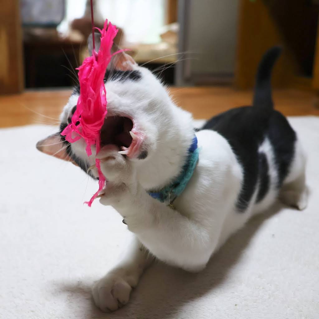 ⚠️なっちびです！ YouTube