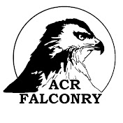 ACR Falconry
