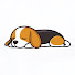 ETQQUbbo_s0-channel-avatar-Pup Moments