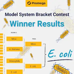 Promega Corporation YouTube channel
