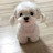 @lemontree8961