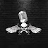 4RNEcGk7Kq8-channel-avatar-Hank Miller Audios