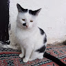 Автор