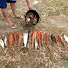 DbEN2aDyFbU-channel-avatar-slippery mud